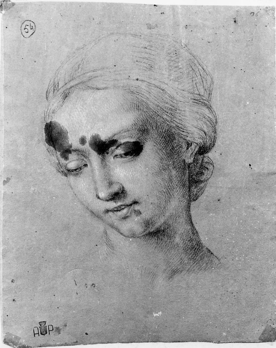 testa di donna (disegno) di Monti Nicola Antonio (sec. XVIII)