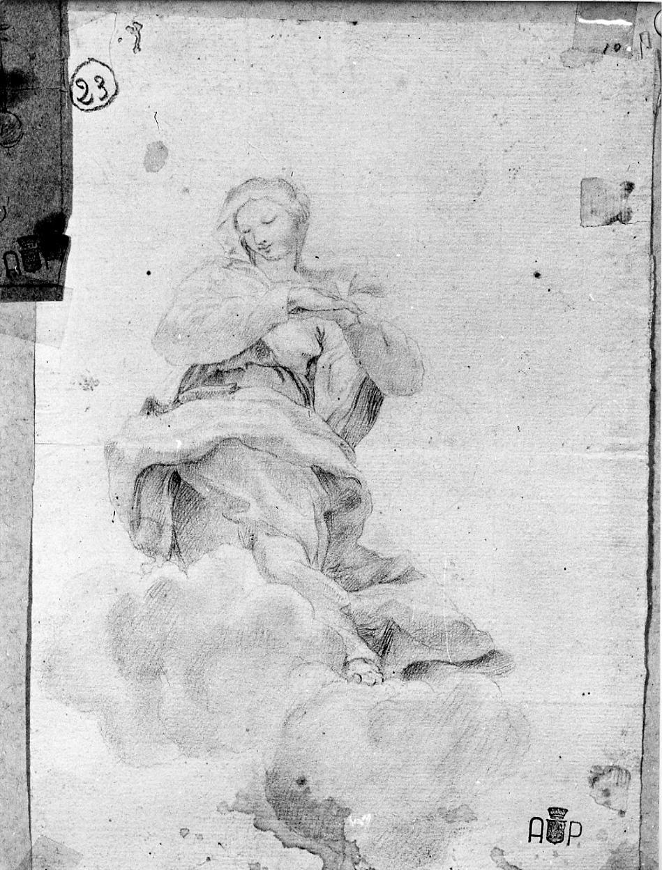 Madonna Immacolata; studio di gamba (disegno) di Nardini Tommaso (sec. XVIII)