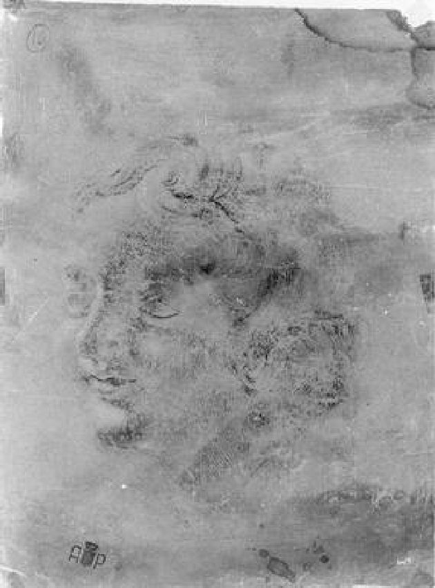 testa di fanciullo (disegno) di Monti Nicola Antonio (maniera) (seconda metà sec. XVIII)