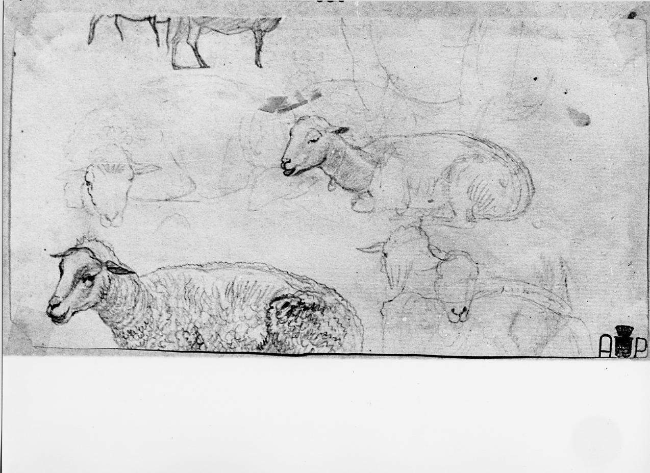 pecore; mucca (disegno) - ambito francese (sec. XIX)