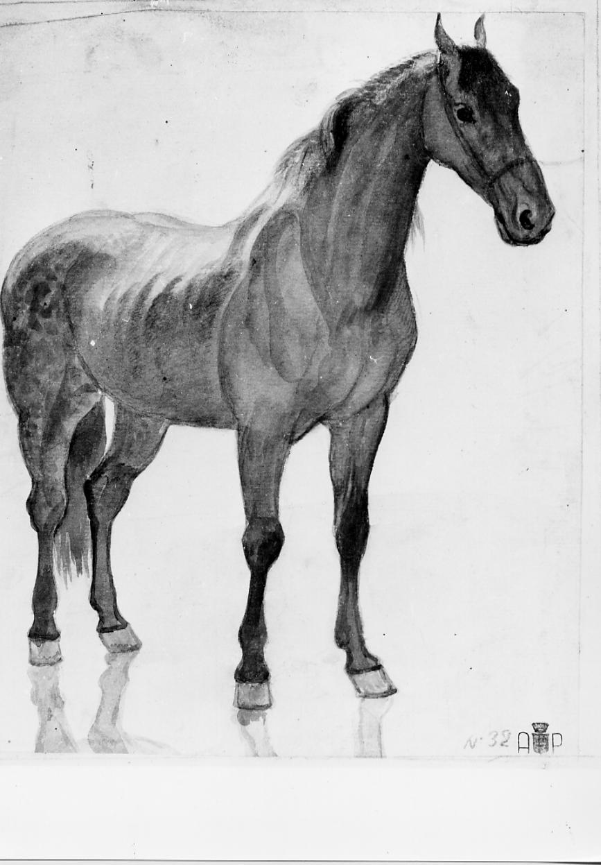 cavallo (disegno) - ambito francese (sec. XIX)
