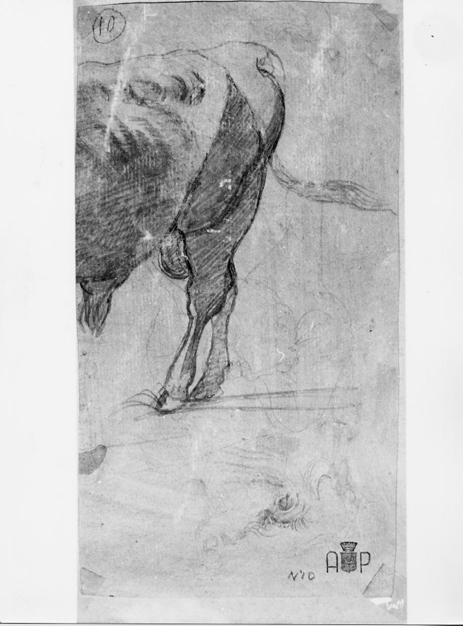 mucche (disegno) - ambito francese (sec. XIX)