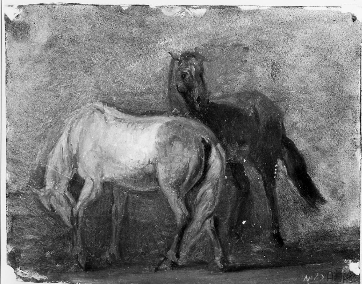cavalli (disegno) - ambito francese (sec. XIX)