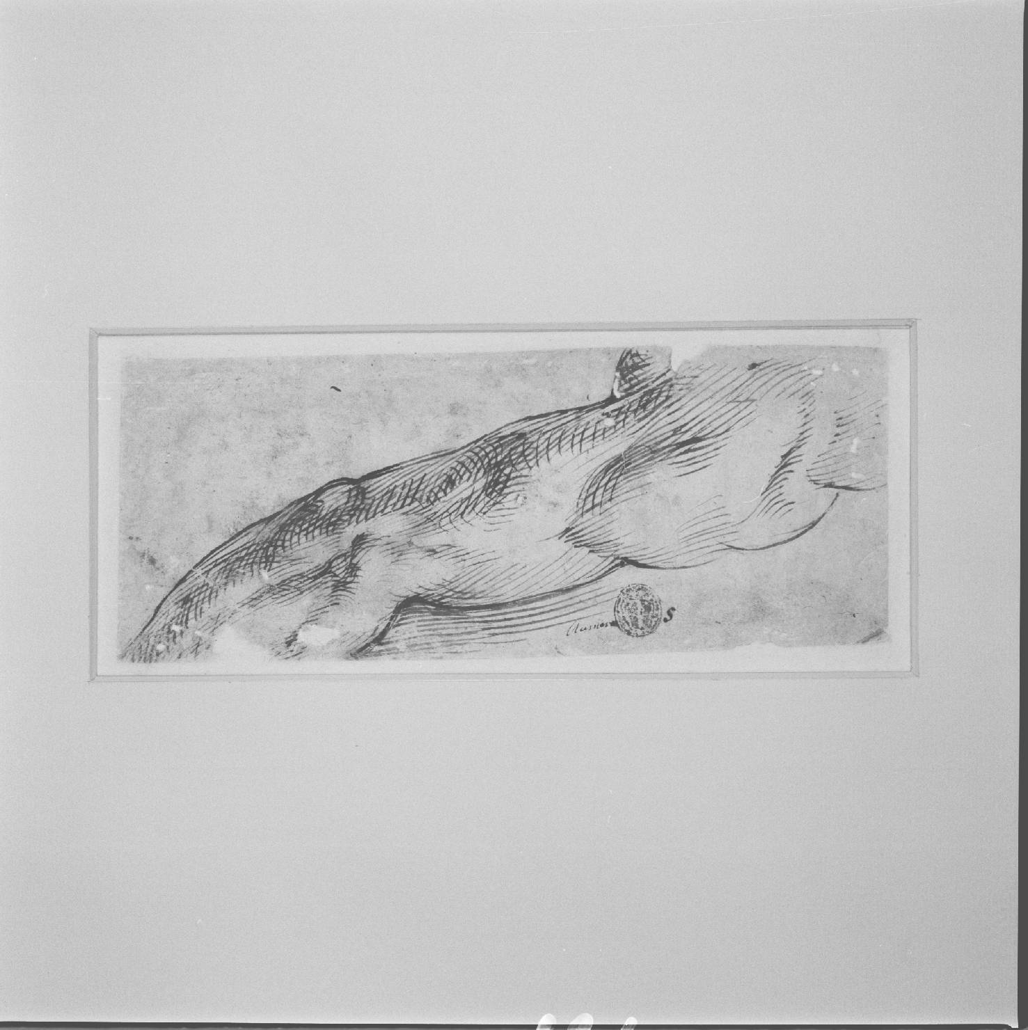 braccio di uomo (disegno) di Passarotti Bartolomeo (attribuito) (sec. XVI)