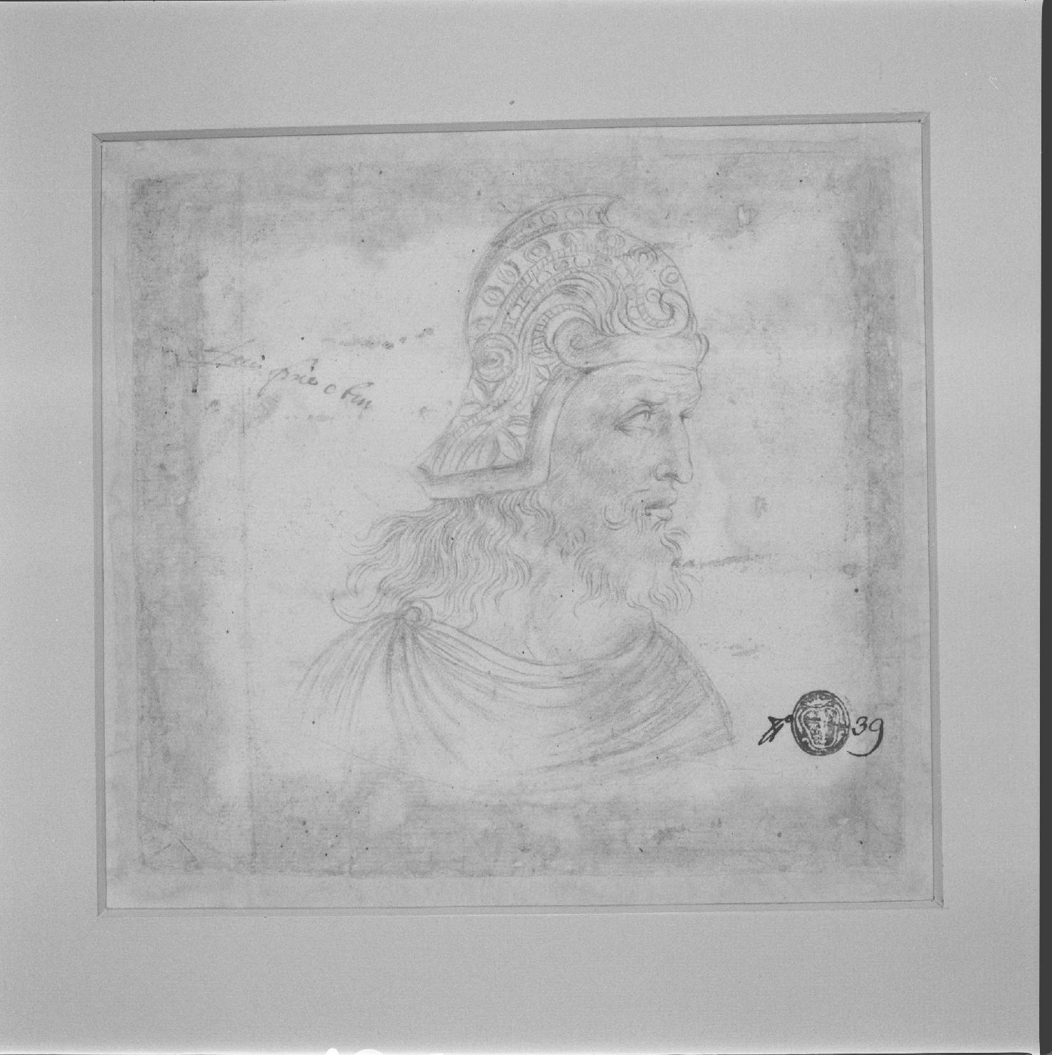 testa d'uomo di profilo (disegno) - ambito marchigiano (metà sec. XVI)