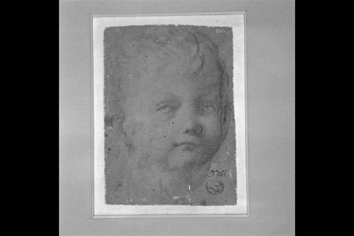 testa di bambino (disegno) - ambito marchigiano (sec. XVII)