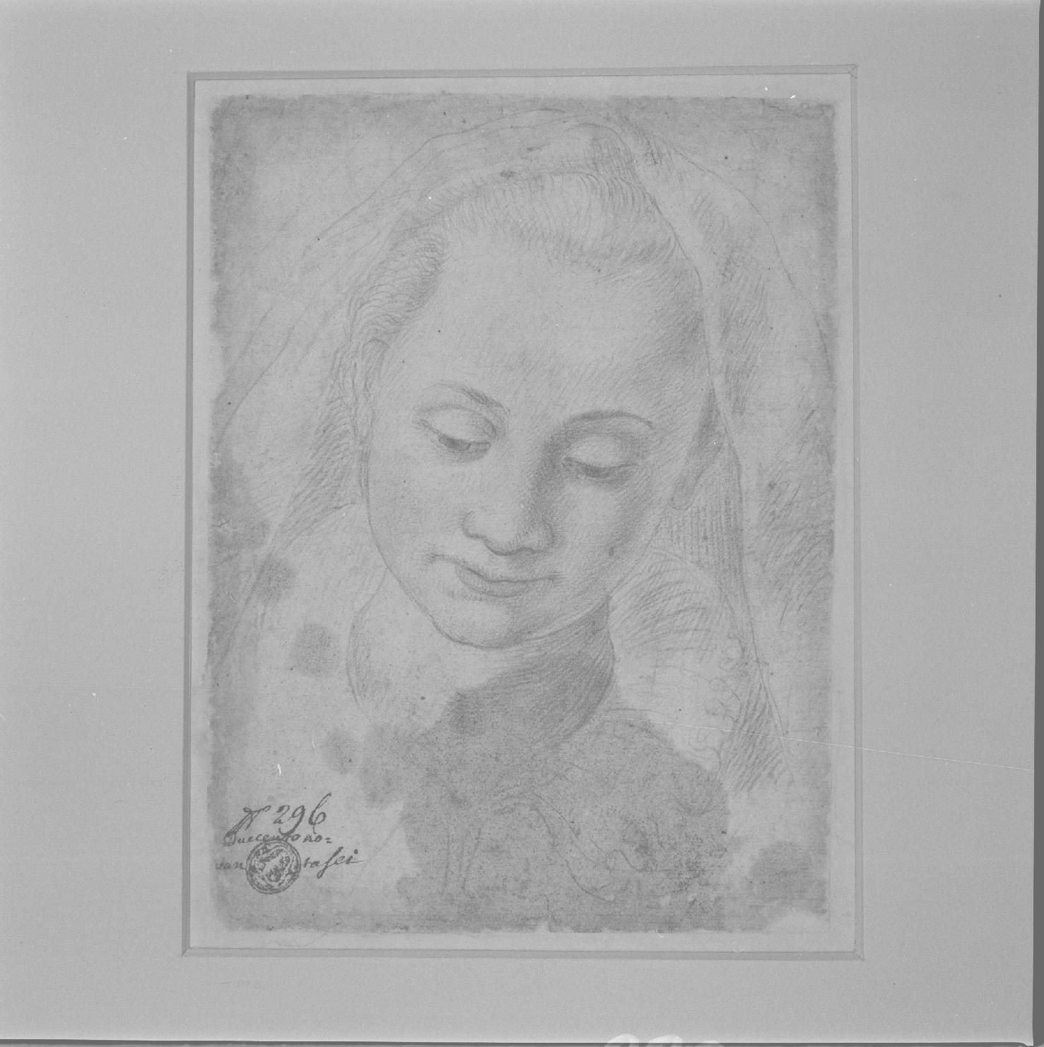 testa di donna (disegno) di Gamberucci Cosimo (attribuito) (secc. XVI/ XVII)