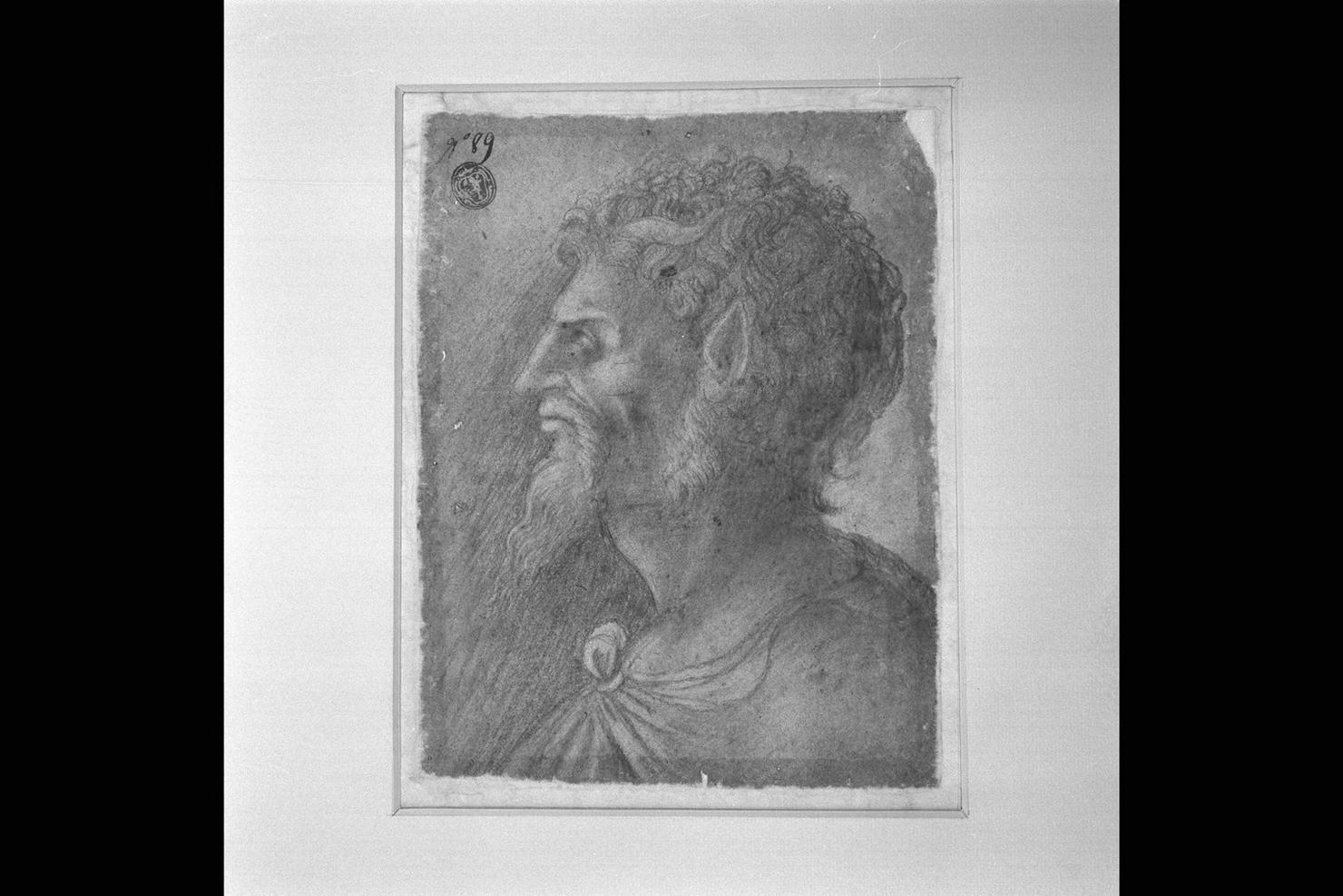 testa di satiro di profilo (disegno) - ambito marchigiano (sec. XVI)