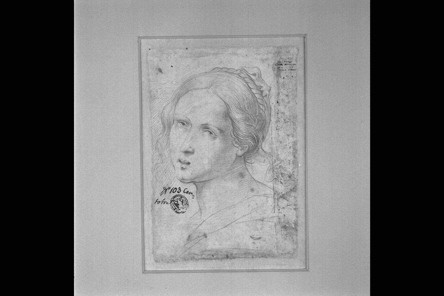 testa di donna (disegno) di Peruzzini Domenico (sec. XVII)