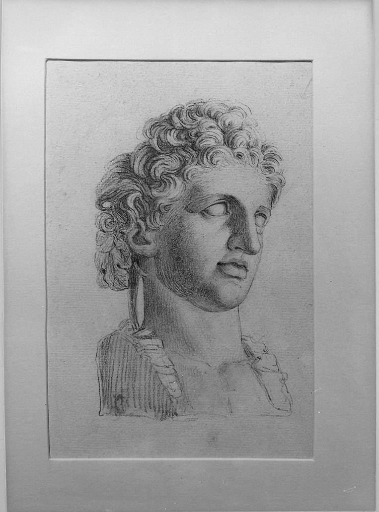 testa di statua classica (disegno) di Duranti Fortunato (sec. XIX)