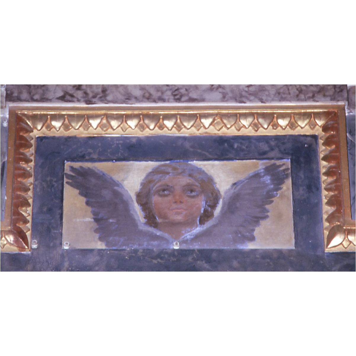 angelo (dipinto, elemento d'insieme) - ambito marchigiano (sec. XIX)