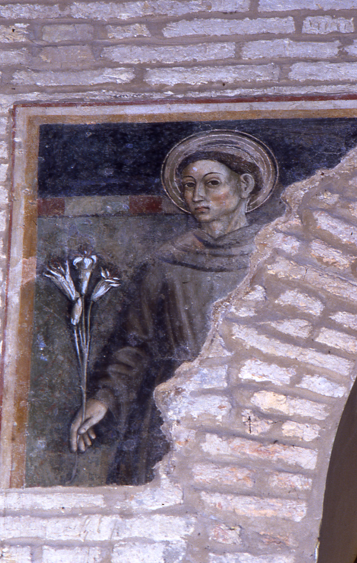 Sant'Antonio da Padova (dipinto, frammento) - ambito marchigiano (fine sec. XV, sec. XVI)