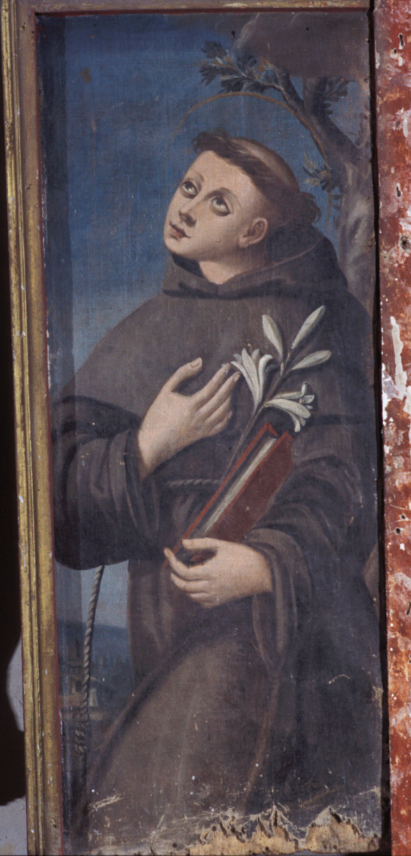 Sant'Antonio da Padova (dipinto, elemento d'insieme) - ambito marchigiano (sec. XVII)