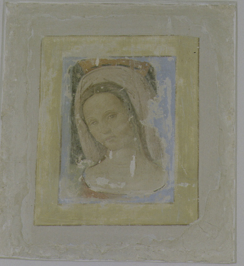 Madonna (dipinto, frammento) - bottega marchigiana (sec. XVI)
