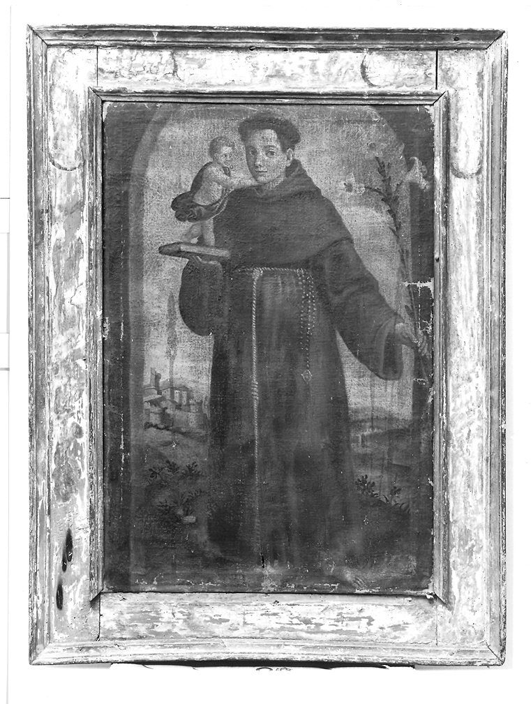 Sant'Antonio da Padova (dipinto) - ambito marchigiano (prima metà sec. XVI)