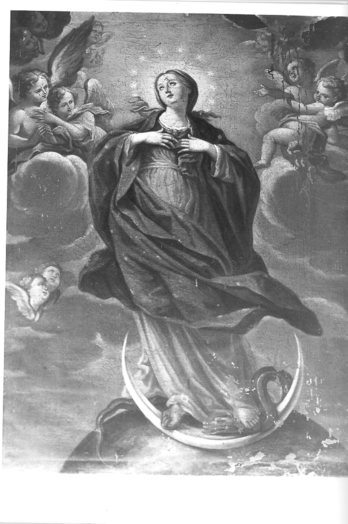 Immacolata Concezione e santi (dipinto) - ambito marchigiano (sec. XIX)