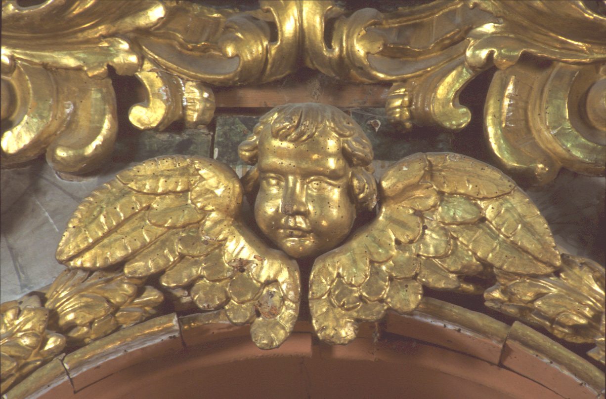 testa di putto, putto (scultura, elemento d'insieme) di Polinori Giuseppe, Grillanda Girolamo (sec. XVII)