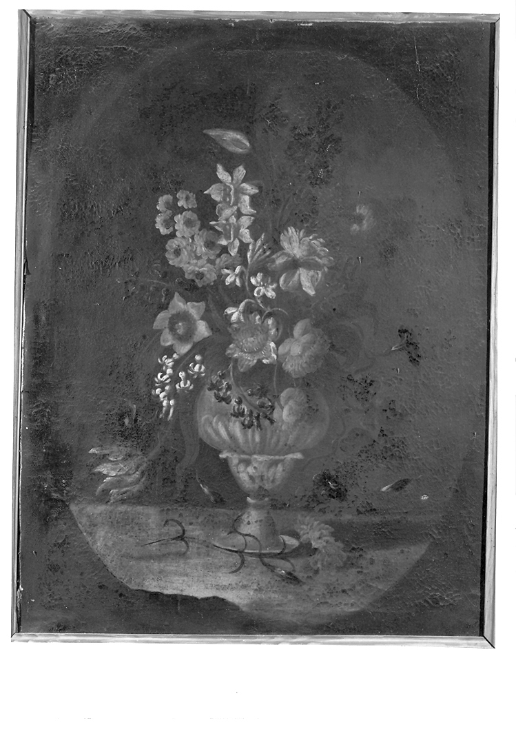 vaso con fiori (dipinto) - ambito marchigiano (seconda metà sec. XVII)