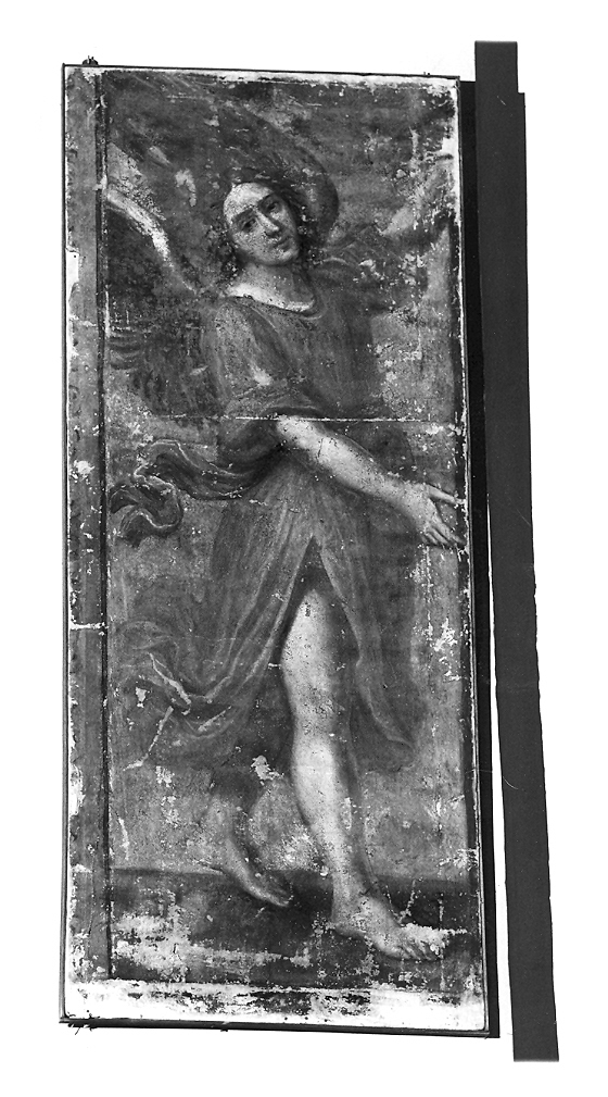 angelo (dipinto) - ambito marchigiano (secc. XVI/ XVII)