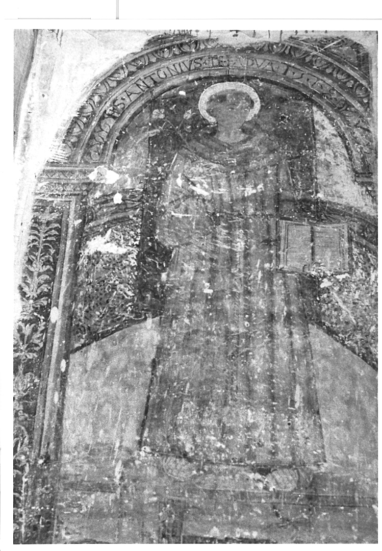 Sant'Antonio da Padova (dipinto) - ambito marchigiano (primo quarto sec. XVI)
