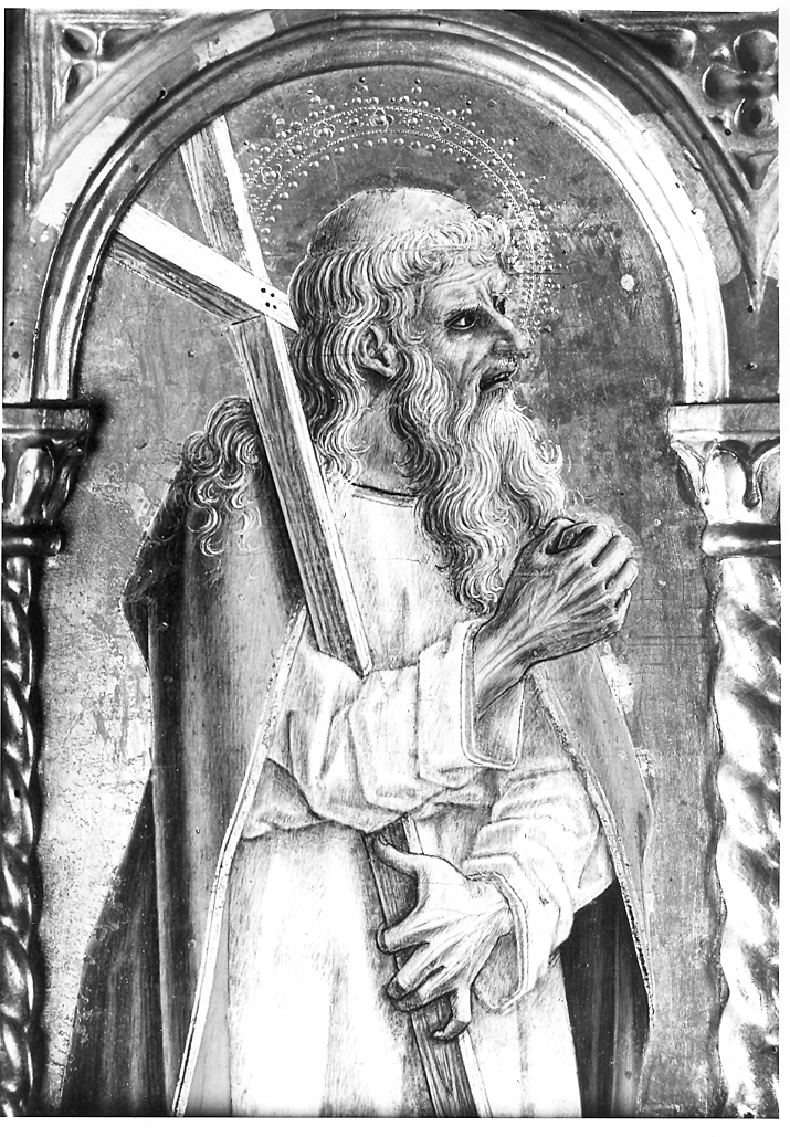 Santo apostolo (dipinto, elemento d'insieme) di Crivelli Carlo (sec. XV)