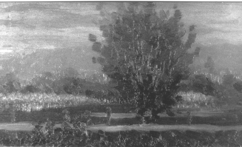 L'albero solitario, paesaggio con alberi (dipinto) di Santi Archimede (sec. XX)