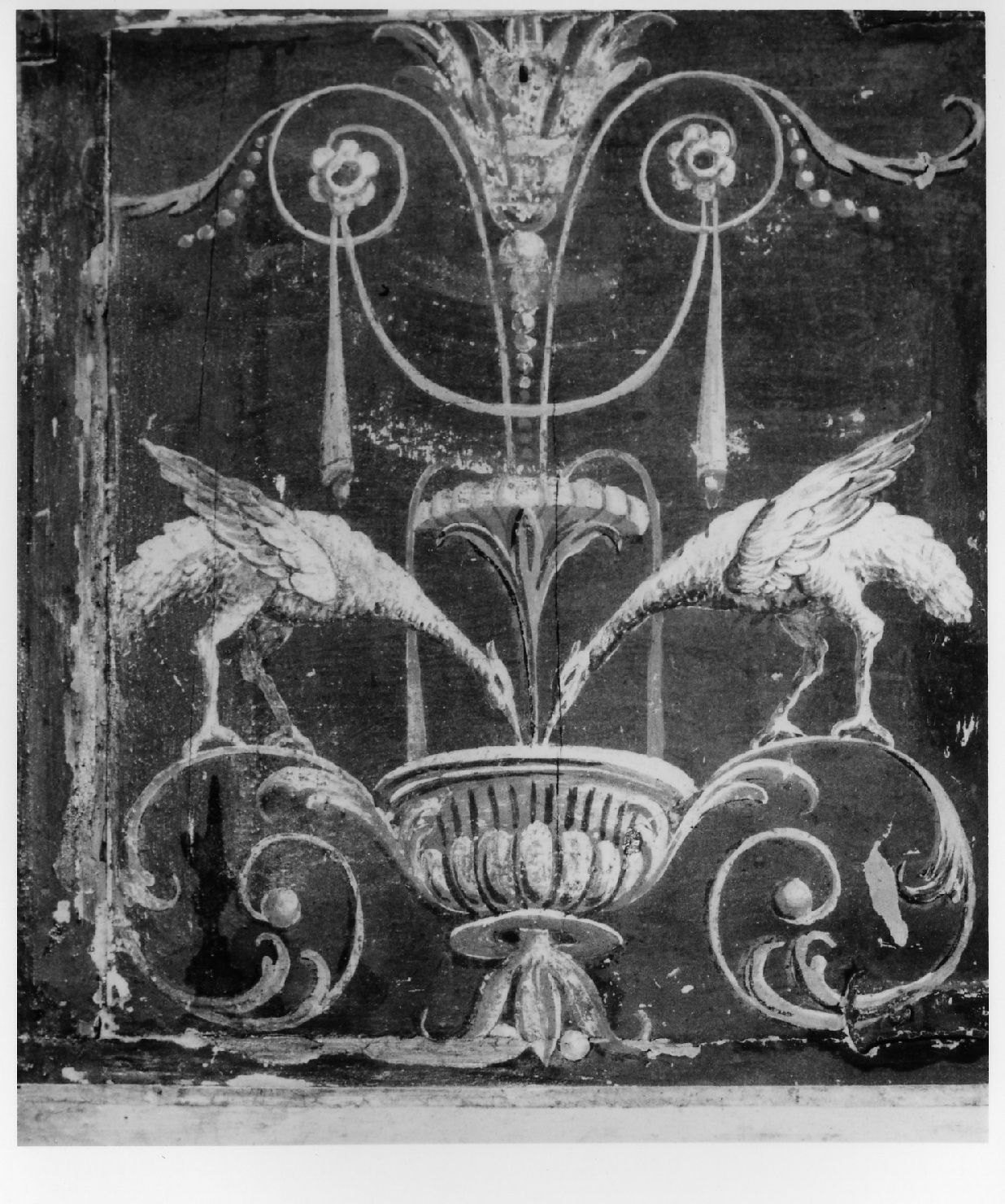 motivi decorativi a grottesche (sportello) - bottega marchigiana (ultimo quarto sec. XVIII)
