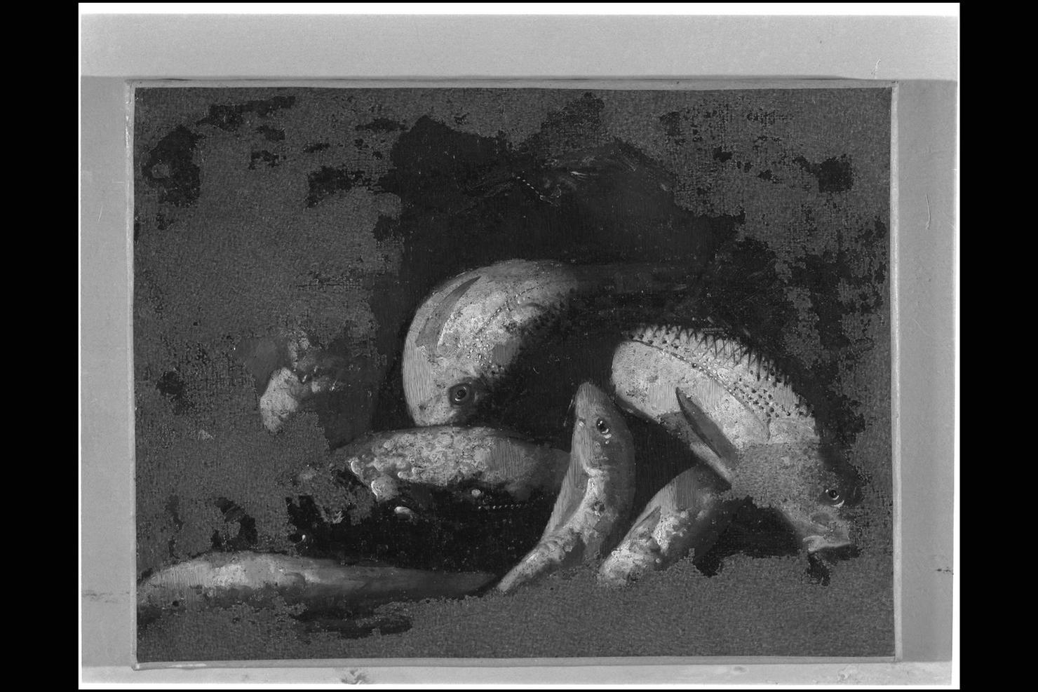 natura morta con pesci (dipinto) - ambito napoletano (sec. XVII)