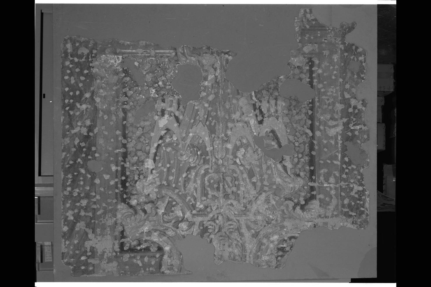 motivo decorativo con nastri e banderuole. valve di conchiglia. cherubini (dipinto, frammento) di Boscoli Andrea (attribuito) (sec. XVII)