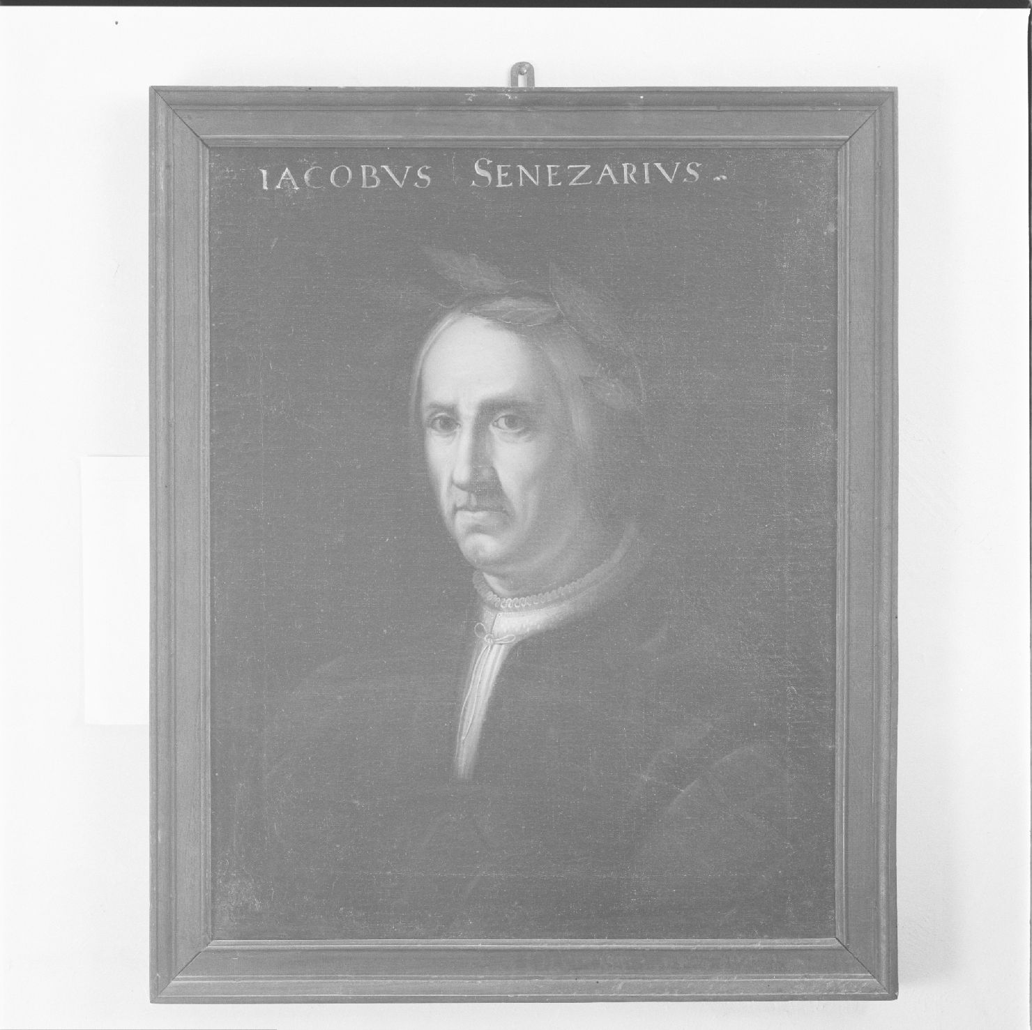 ritratto di Jacopo Sannazzaro (dipinto) di Fiori Federico detto Barocci (maniera) (inizio sec. XVII)
