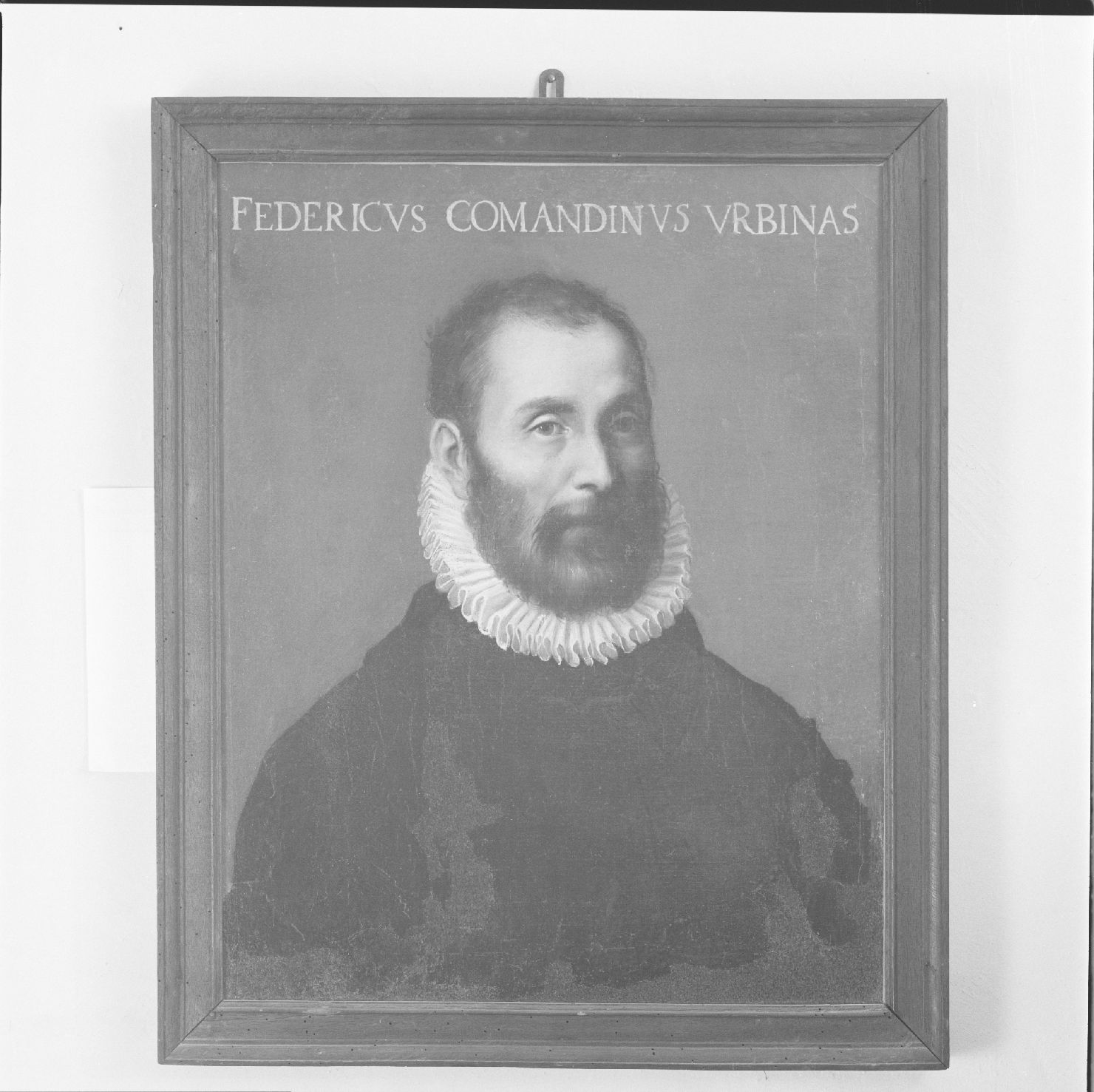 ritratto di Federico Comandino (dipinto) di Fiori Federico detto Barocci (maniera) (inizio sec. XVII)
