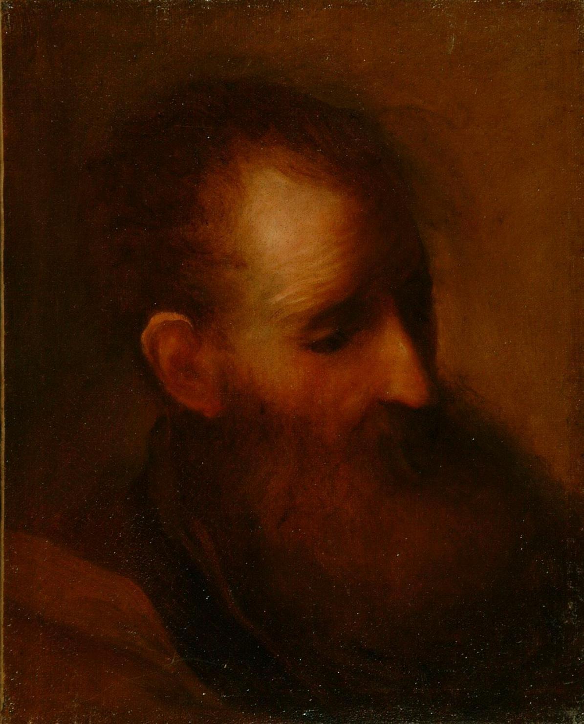 testa d'uomo con barba (dipinto) di Van Honthorst Gerrit detto Gherardo delle Notti (sec. XVII)