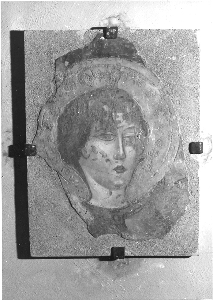 testa di santo (dipinto) - ambito camerinese (fine sec. XIV)