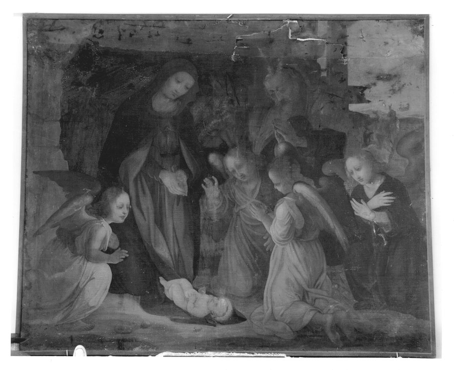 natività di Gesù (dipinto) di Genga Girolamo (cerchia) (prima metà sec. XVI)