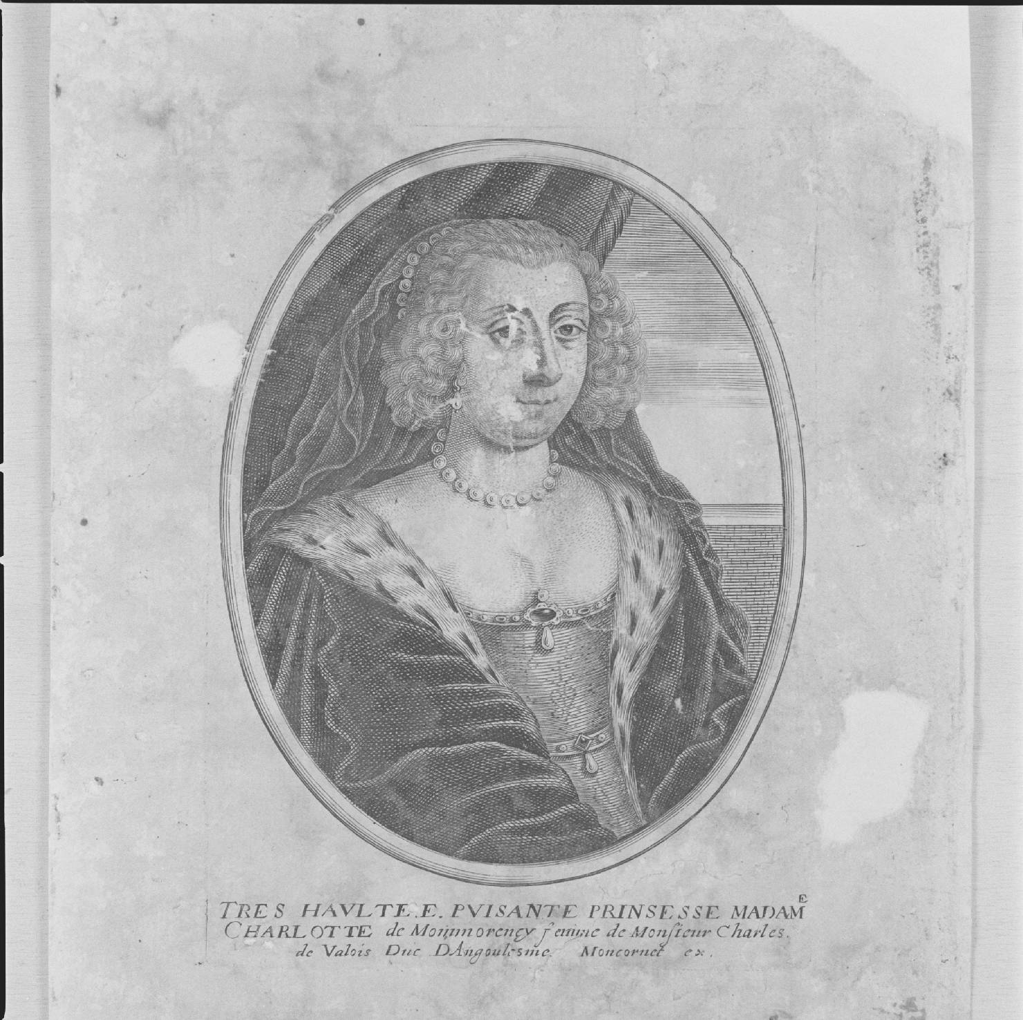 ritratto di Carlotta di Montmorency consorte di Carlo di Valois (stampa smarginata, serie) - ambito francese, ambito francese, ambito francese (sec. XVII)