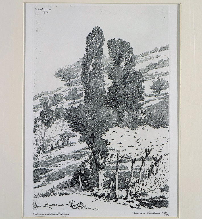 paesaggio con alberi (stampa) di Castellani Leonardo (sec. XX)