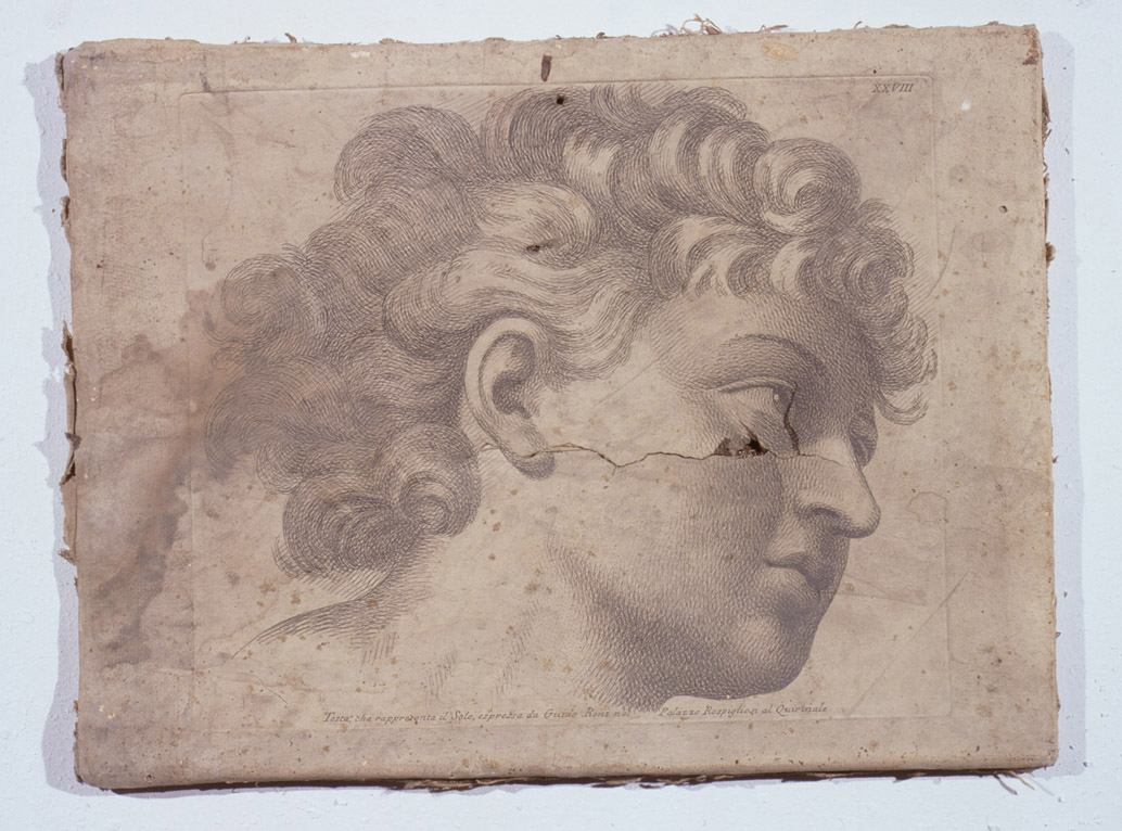 testa di uomo di profilo (stampa, serie) di Fidanza Paolo, Reni Guido (sec. XVIII)