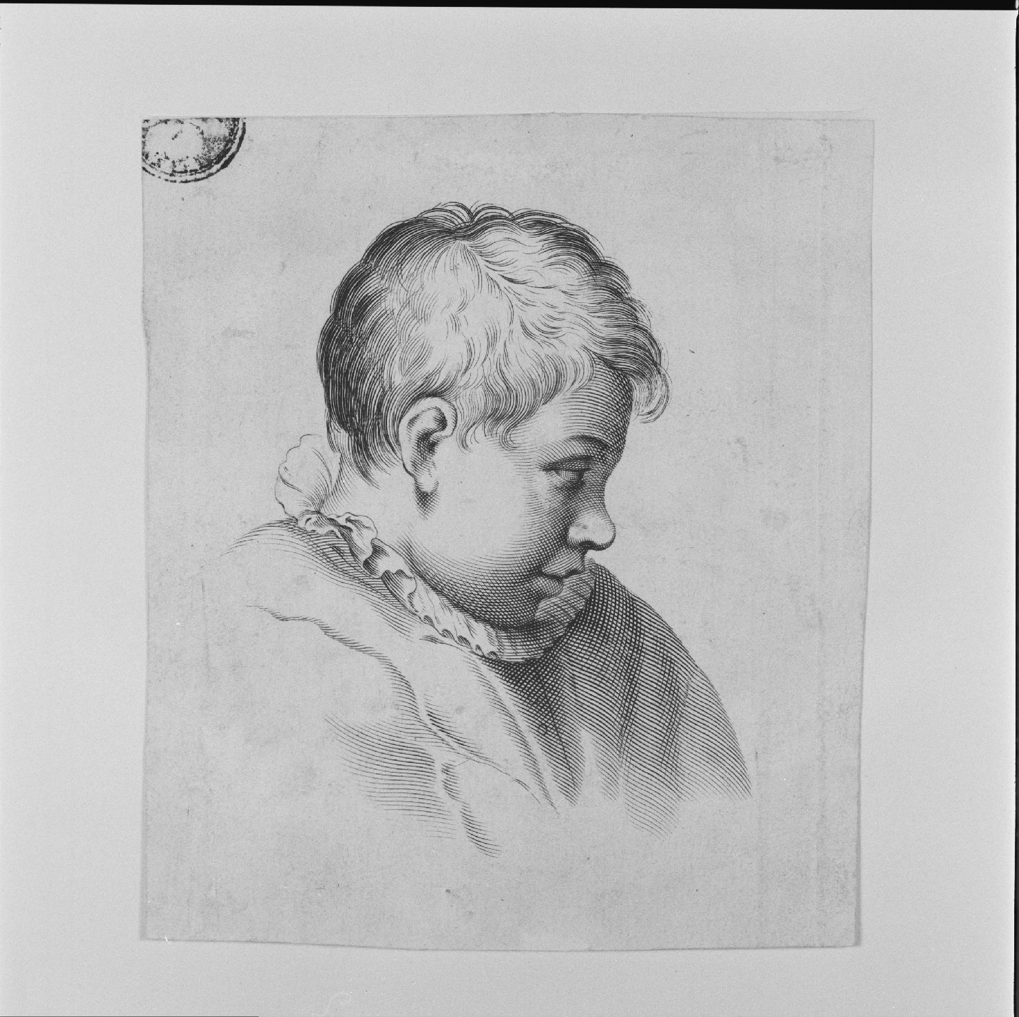 testa di fanciullo (stampa) di Ciamberlano Luca (attribuito), Carracci Agostino (prima metà sec. XVII)
