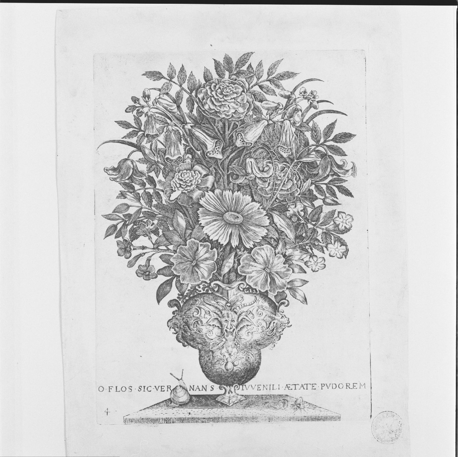 mazzo di fiori in vaso (stampa, elemento d'insieme) di Curti Francesco (secondo quarto sec. XVII)