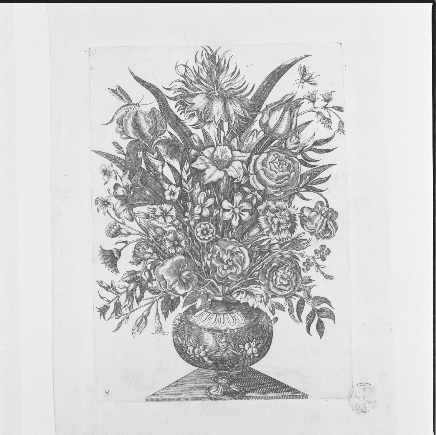 mazzo di fiori in vaso (stampa, elemento d'insieme) di Curti Francesco (secondo quarto sec. XVII)