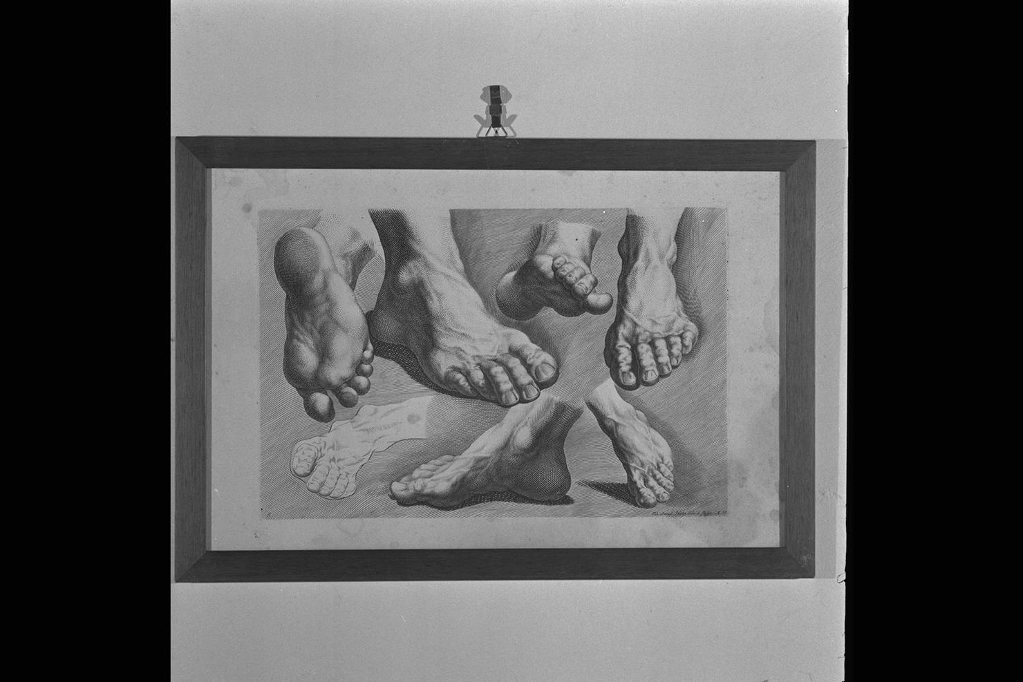 Variae figurae pedum a pueris ad senes, studi di piedi (stampa) di Hertz Johann Daniel (sec. XVIII)
