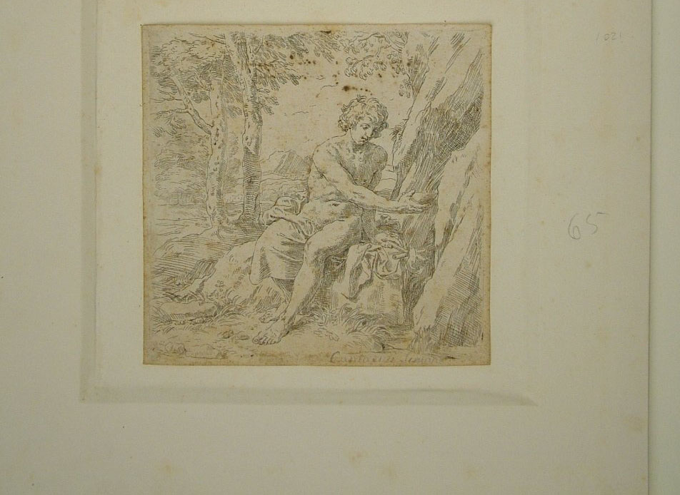 San Giovanni Battista nel deserto (stampa) di Cantarini Simone (attribuito) (secondo quarto sec. XVII)
