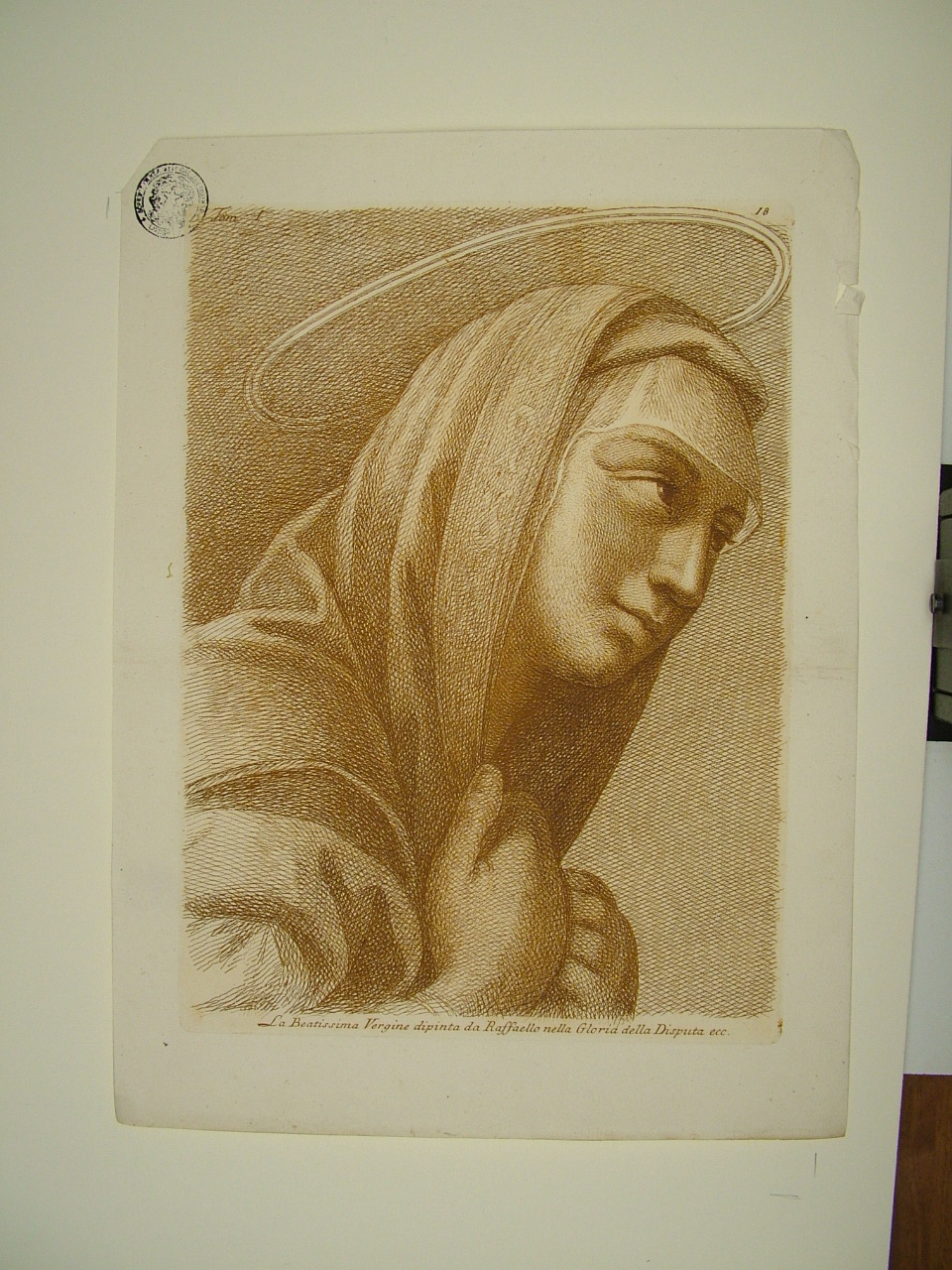 testa della Madonna (stampa, elemento d'insieme) di Sanzio Raffaello (attribuito), Fidanza Paolo (attribuito) (terzo quarto sec. XVIII)