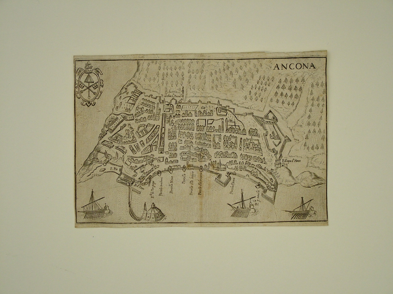 pianta della città di Ancona (stampa smarginata) di Schott Franz (attribuito) (sec. XVII)
