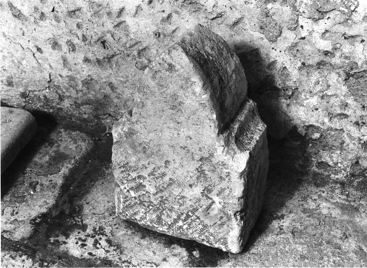 costolone di volta, frammento - bottega Italia meridionale (secc. XIII/ XIV)