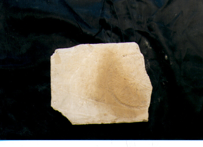 piastrella, frammento - bottega molisana (fine/inizio secc. XI/ XII)