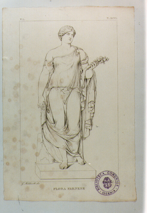 FLORA (stampa smarginata) di Anonimo, Mannelli Antonio, Maldarelli Giovanni (sec. XIX)