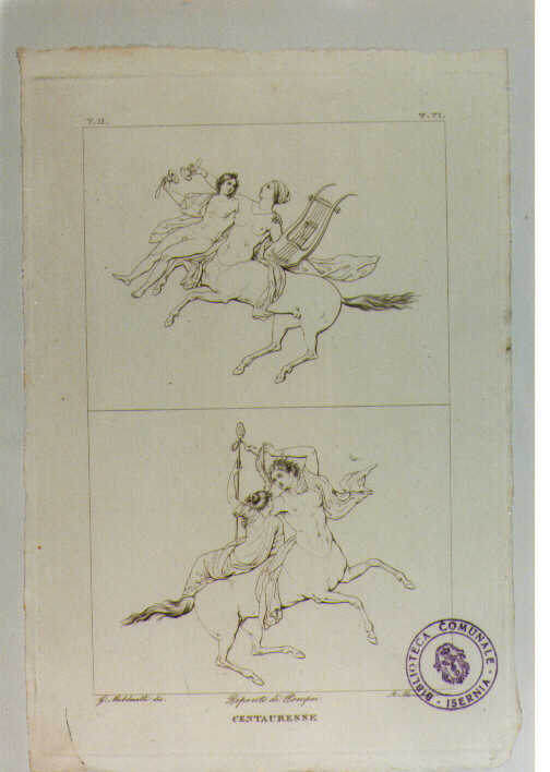 CENTAURESSE (stampa) di Anonimo, Mannelli Antonio, Maldarelli Giovanni (sec. XIX)