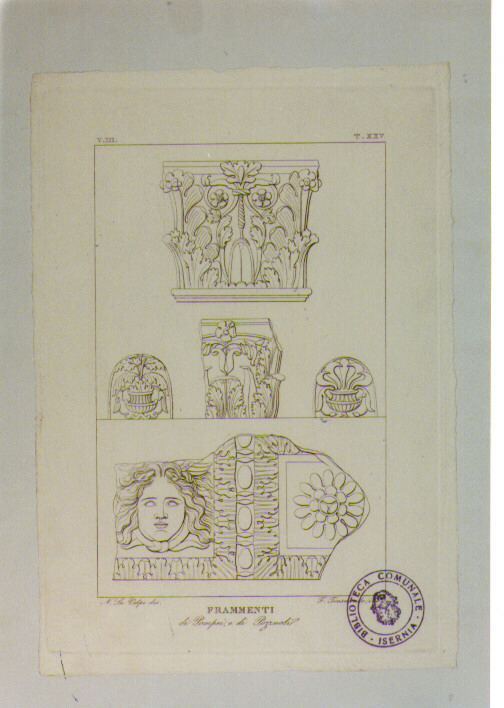 FRAMMENTI DI CAPITELLO E FREGIO (stampa) di Anonimo, Trasmondi Pietro, La Volpe Nicola (sec. XIX)