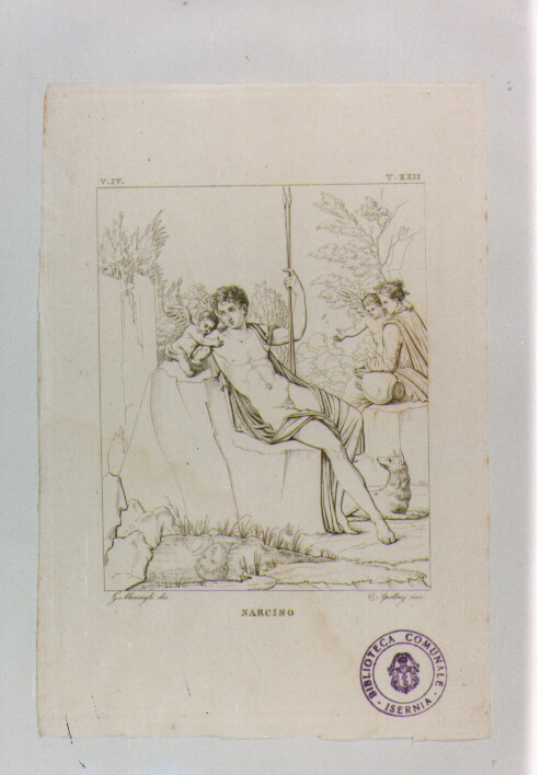 NARCISO (stampa tagliata) di Anonimo, Apolloni Quintilio Maria, Marsigli Giuseppe (sec. XIX)